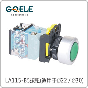 带灯平钮（∅30）